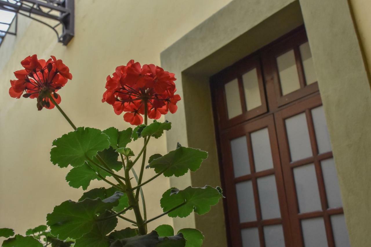 Casa Hotel Aroma 406 プエブラ エクステリア 写真